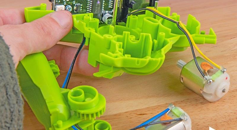 Coding Chameleon Robot — view 2
